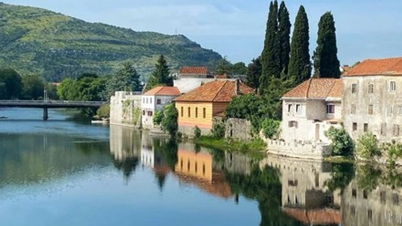 Ikki qizgin talaba gozal kunda bir oz dam olishdan xursand Soqollanmagan qizil sochli mushuk