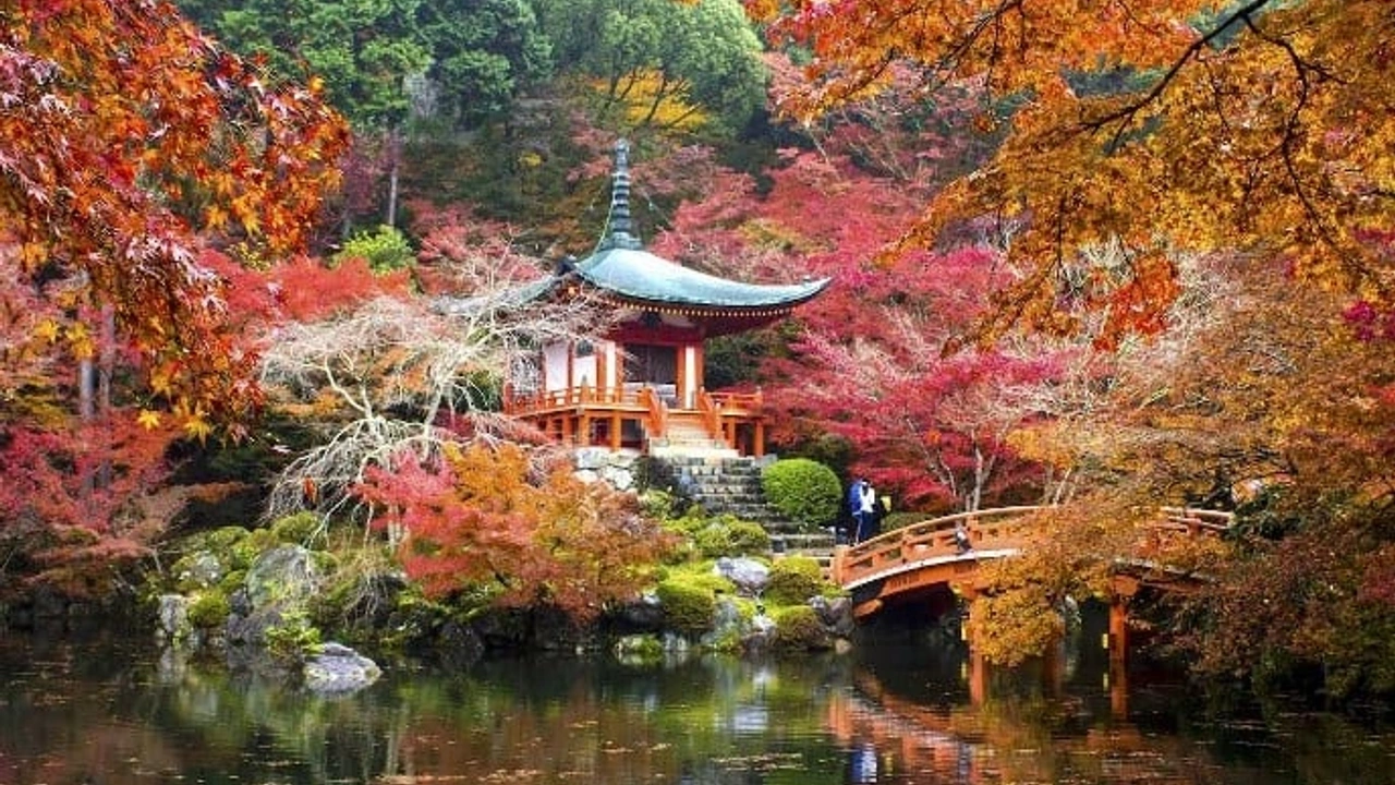 Tour | Best of Japan | Travel Talk Tours | JPB-10