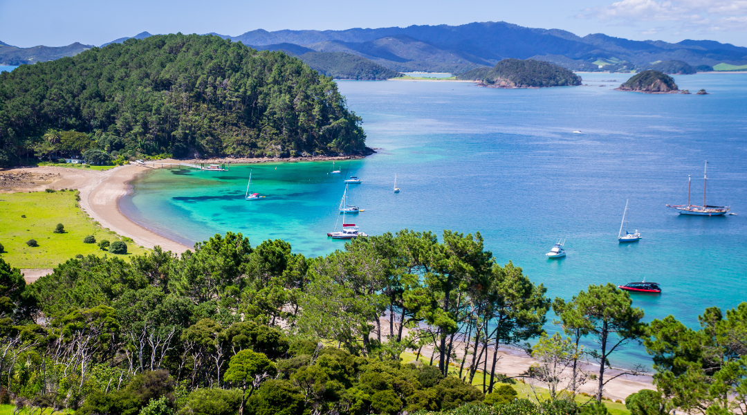 New Zealand Odyssey – North to South Islands