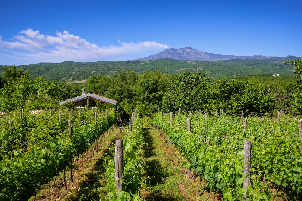 Tour | Italy Explorer | Expat Explore Travel | ITX